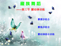 高中音乐-音乐与舞蹈《雪域神光——藏族舞蹈》PPT课件1-湘艺版
