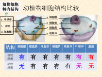 《第一节 细胞的生活》PPT课件1-鲁科版生物六年级上册