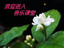 高中音乐-音乐鉴赏《赶牲灵》PPT课件1-湘艺版