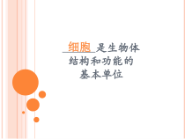 《第二节 动物体的结构层次》PPT课件7-鲁科版生物六年级上册