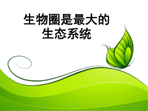 《第五节 生物圈是最大的生态系统》PPT课件1-鲁科版生物六年级上册
