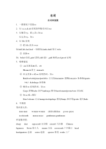 高中英语人教版（2019）必修第一册 名词语法知识点总结