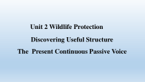人教版（2019）英语必修第二册《Unit 2 Wildlife Protection》全单元PPT课件（共83页）