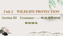 Unit 2 Section Ⅲ　Grammar——现在进行时的被动语态-（新教材）高中英语人教版必修2 