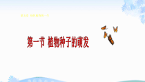 鲁科版生物六年级下册（课件6份可预览）