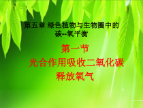 《第一节 光合作用吸收二氧化碳释放氧气》PPT课件1-鲁科版生物六年级下册