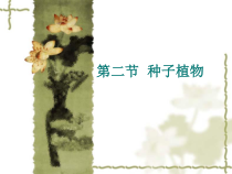《第三节 种子植物》PPT课件1-鲁科版生物六年级下册