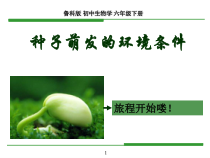 《第一节 种子的萌发》PPT课件2-鲁科版生物六年级下册