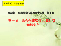 《第一节 光合作用吸收二氧化碳释放氧气》PPT课件2-鲁科版生物六年级下册
