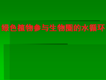 《第二节 绿色植物参与生物圈的水循环》PPT课件2-鲁科版生物六年级下册