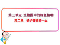 《第三节 开花和结果》PPT课件4-鲁科版生物六年级下册