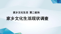 高中语文必修上册《家乡文化生活现状调查》PPT课件-2019部审人教版