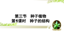 《第三节 种子植物》PPT课件2-鲁科版生物六年级下册