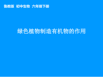 《第四章 绿色植物是生物圈中有机物的制造者》PPT课件1-鲁科版生物六年级下册