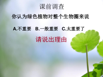《第四章 绿色植物是生物圈中有机物的制造者》PPT课件3-鲁科版生物六年级下册