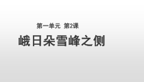 高中语文必修上册《2.3 峨日朵雪峰之侧》ppt课件3-统编版