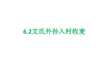 高中语文必修上册《6.2 文氏外孙入村收麦》教学课件-统编版