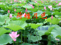 高中语文必修上册《14.2 荷塘月色》ppt课件3-统编版