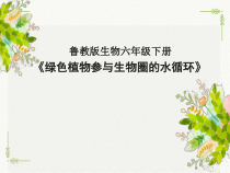 《第一节 水分进入植物体内的途径》PPT课件2-鲁科版生物六年级下册