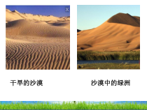 《第一节 水分进入植物体内的途径》PPT课件7-鲁科版生物六年级下册