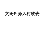 【教学课件】文氏外孙入村收麦教学课件-2019人教版高中语文必修上册