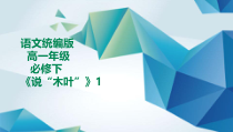 高中语文必修下册《说木叶》第一课时PPT课件-2019统编版