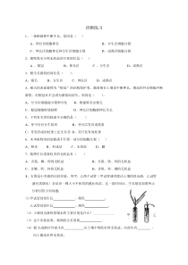 《第二节 植株的生长》评测练习-鲁科版生物六年级下册