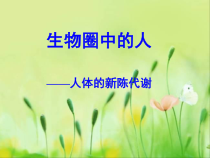 《第三节 物质运输的途径》PPT课件4-鲁科版生物七年级上册