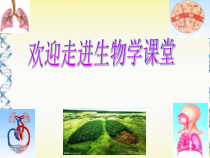 《第一节 呼吸道对空气的处理》PPT课件3-鲁科版生物七年级上册