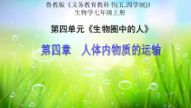 《第三节 物质运输的途径》PPT课件2-鲁科版生物七年级上册