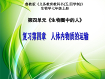《第三节 物质运输的途径》PPT课件3-鲁科版生物七年级上册