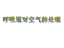 《第一节 呼吸道对空气的处理》PPT课件1-鲁科版生物七年级上册