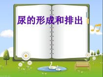 《第一节 尿的形成和排出》PPT课件2-鲁科版生物七年级上册