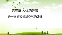 《第一节 呼吸道对空气的处理》PPT课件2-鲁科版生物七年级上册