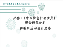 高中政治必修1《中国特色社会主义》 综合探究分析-人教部编版