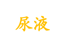 《第一节 尿的形成和排出》PPT课件6-鲁科版生物七年级上册