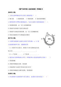 《第二节 发生在肺内的气体交换 氧气如何进入组织细胞》评测练习-鲁科版生物七年级上册