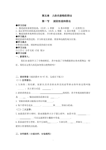 《第一节 尿的形成和排出》导学案-鲁科版生物七年级上册
