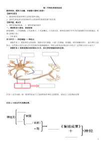 《第二节 神经系统的组成》教学设计1-鲁科版生物七年级下册