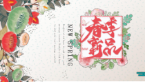 活动策划：红色小清新花卉春季新品促销活动策划PPT模板