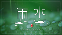活动策划：绿色系二十四节气雨水节气介绍PPT模板