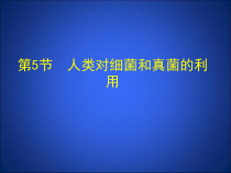 鲁科版生物七年级下册（课件6份可预览）