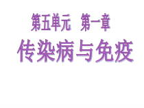 《第二节 免疫与计划免疫》PPT课件1-鲁科版生物七年级下册