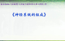 《第二节 神经系统的组成》PPT课件3-鲁科版生物七年级下册