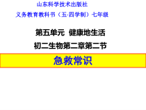 《第二节 急救常识》PPT课件3-鲁科版生物七年级下册