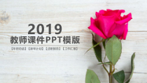 PPT模板：30-2019教师课件PPT模版