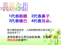 《第二节 神经系统的组成》PPT课件2-鲁科版生物七年级下册