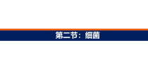 《第二节 细菌》PPT课件2-鲁科版生物七年级下册
