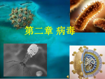 《第二章 病毒》PPT课件1-鲁科版生物七年级下册