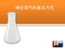《第三节 神经调节的基本方式》PPT课件2-鲁科版生物七年级下册